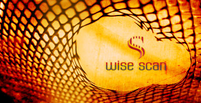 Wise Scan